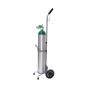 Oxygen Cylinders with or without Oxygen